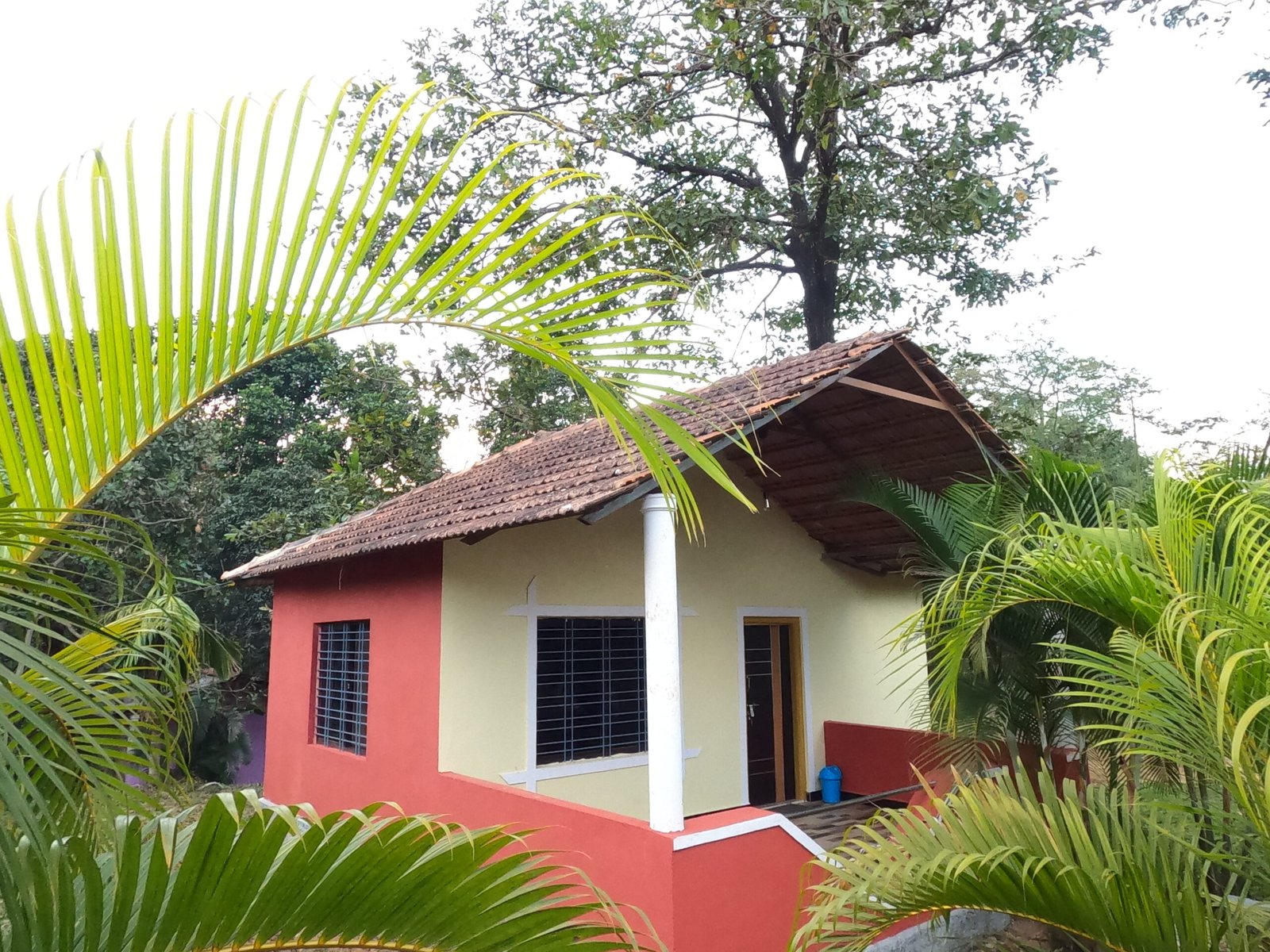 The Twig-mydandelitrip