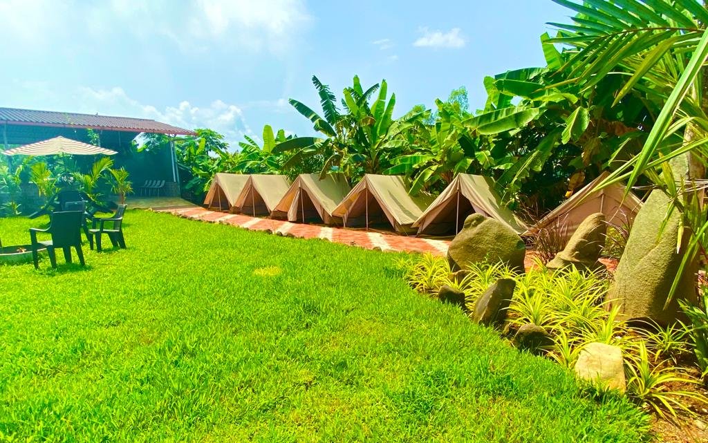 white-petal-homestay-mydandeli-trip